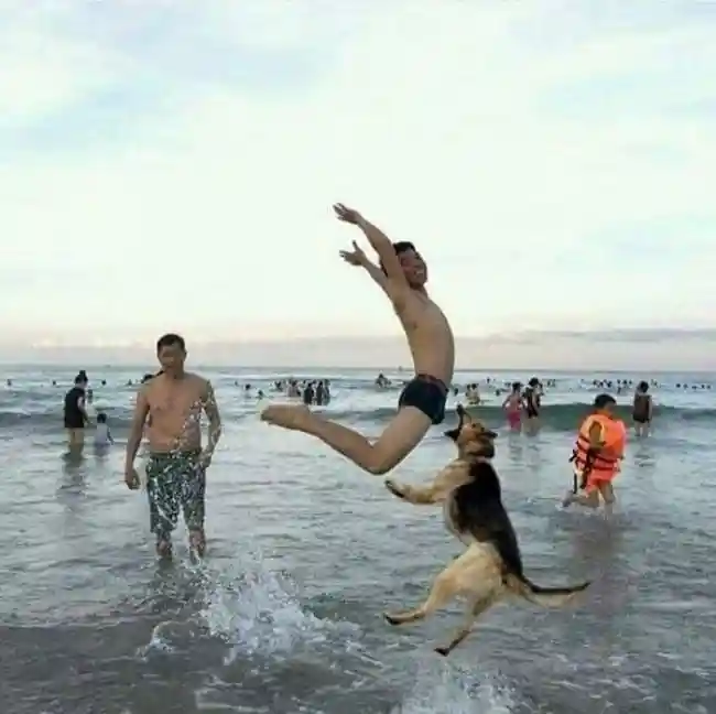 Funny Photos