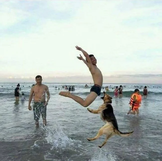 Funny Photos