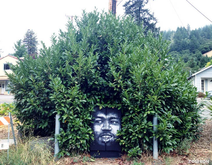 Street Art Meets Nature